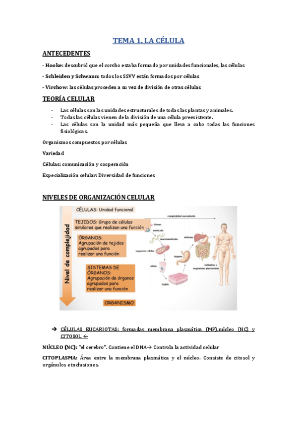 Miniatura del documento TEMA 1.pdf