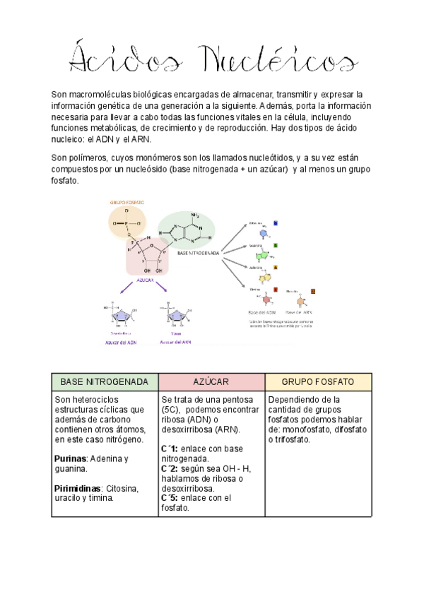 Miniatura del documento 2-ACIDOS-NUCLEICOS.pdf