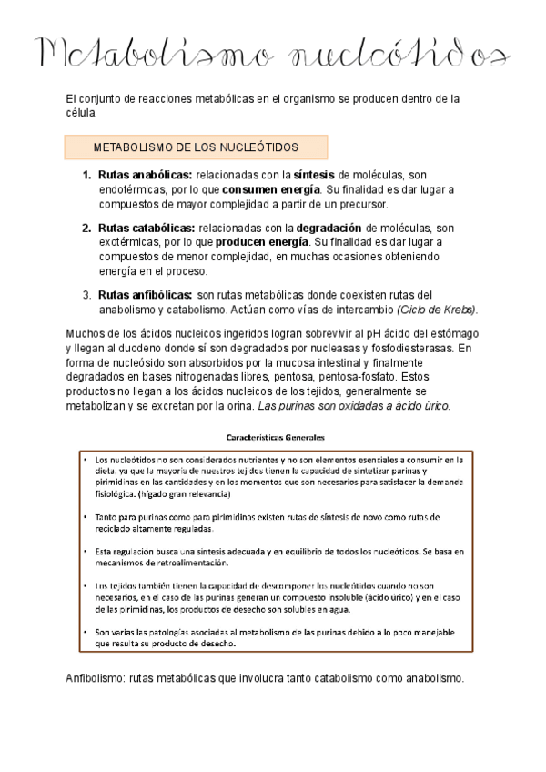 Miniatura del documento 3-Metabolismo-de-los-nucleotidos.pdf