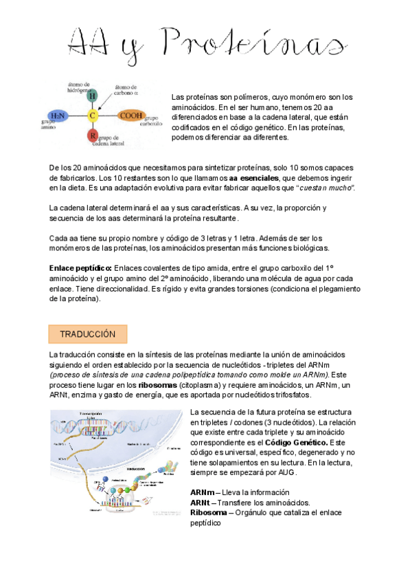 Miniatura del documento 4-AA-y-PROTEINAS.pdf