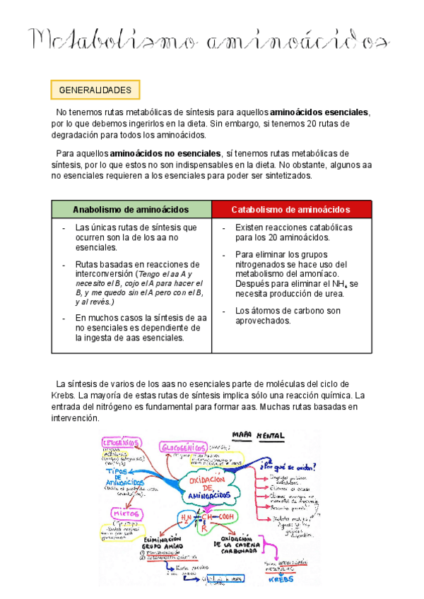 Miniatura del documento 5-Metabolismo-de-aminoacidos.pdf