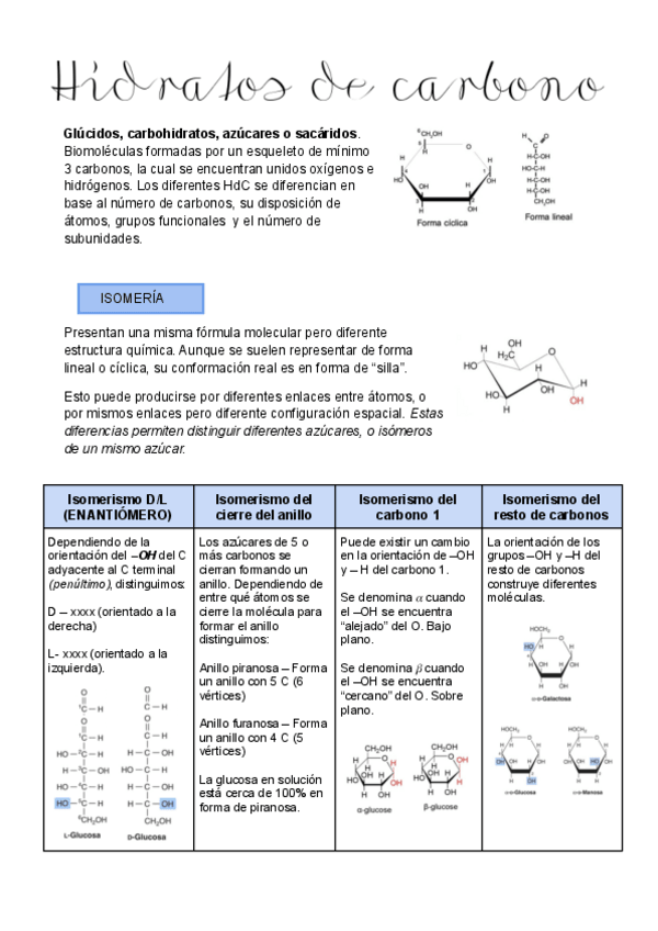 Miniatura del documento 6-HIDRATOS-DE-CARBONO.pdf
