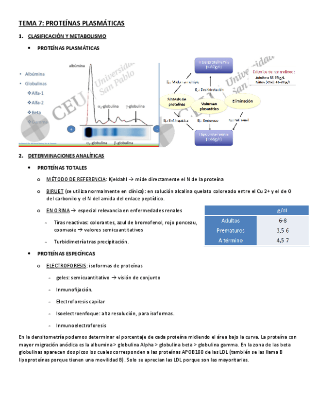 Miniatura del documento TEMA-7.pdf