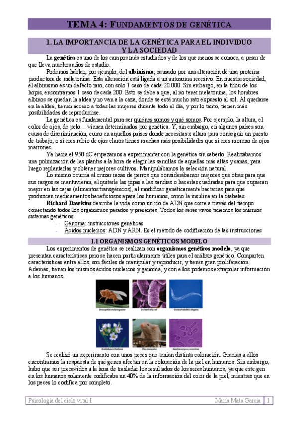 Miniatura del documento TEMA-4.pdf