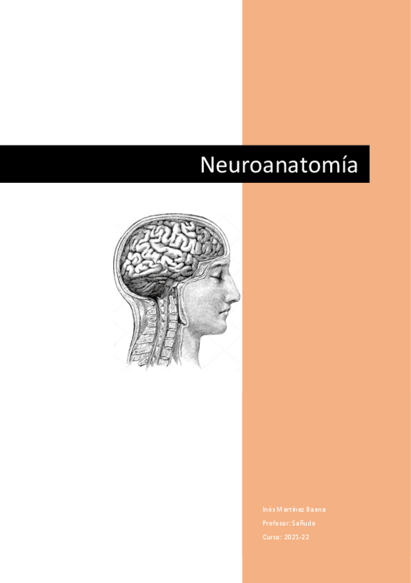 Miniatura del documento 4-neuro.pdf