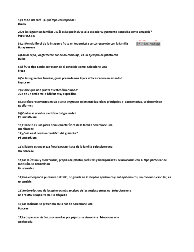 Miniatura del documento Posibles-preguntas-Fane.pdf