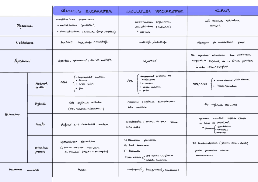 Miniatura del documento Esquema-Micro.pdf