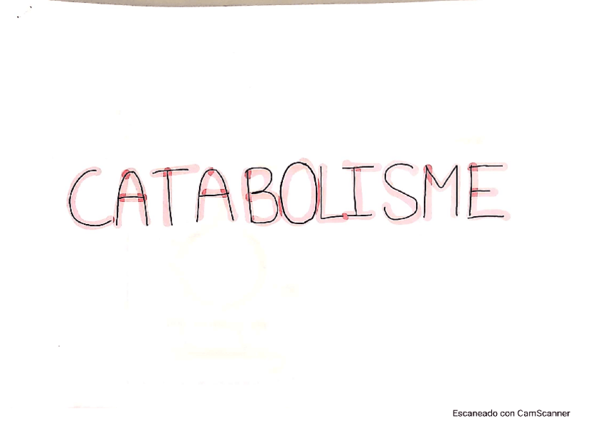 Miniatura del documento esquema-metabolisme.pdf