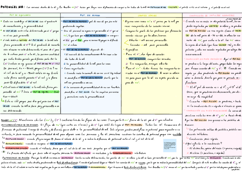 Miniatura del documento T2-Fisiologia-Del-Nervio.pdf