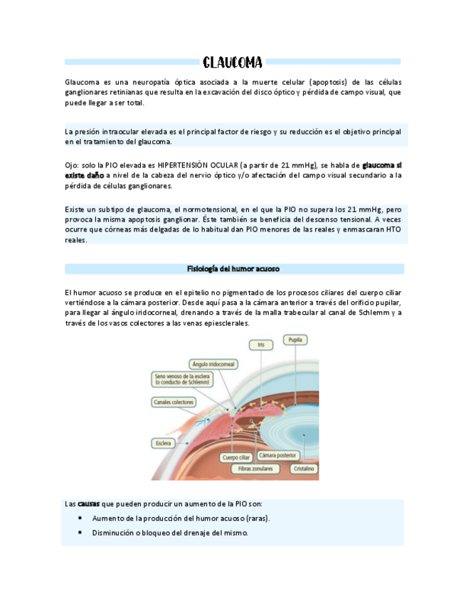 Miniatura del documento GLAUCOMA.pdf