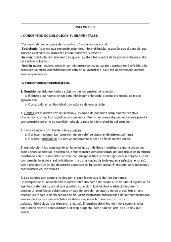 Miniatura del documento WEBER.pdf