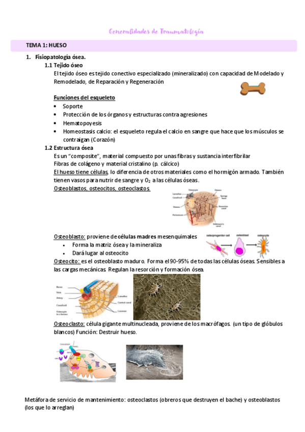 Miniatura del documento generalidades-Dr.pdf