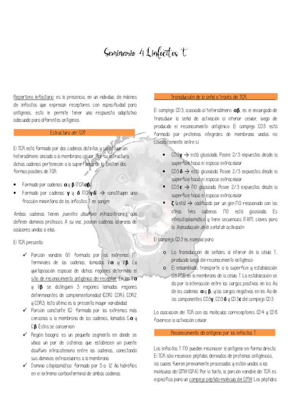 Miniatura del documento SEMINARIO-4-.pdf