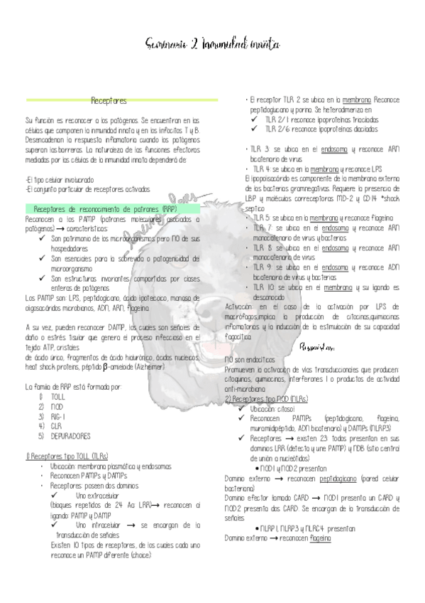 Miniatura del documento SEMINARIO-2-.pdf
