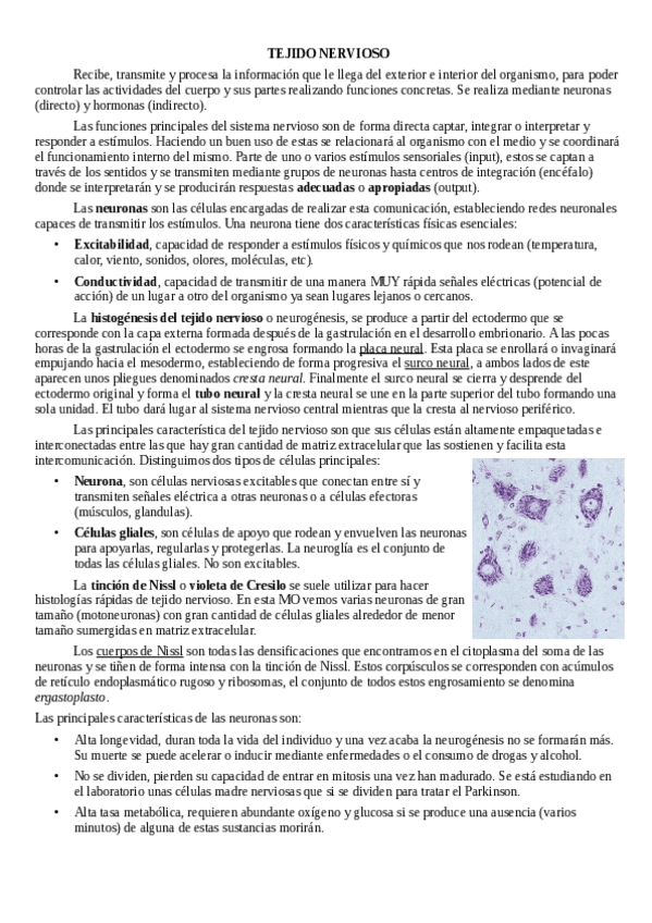 Miniatura del documento Tema-4-tejido-nervioso.pdf