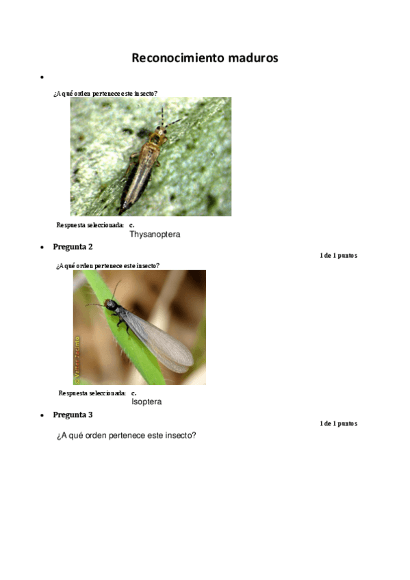 Miniatura del documento Reconocimiento-maduros.pdf