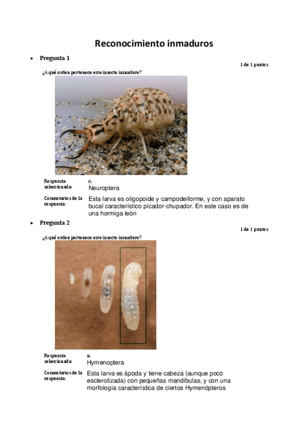 Miniatura del documento reconocimiento-inmaduros.pdf