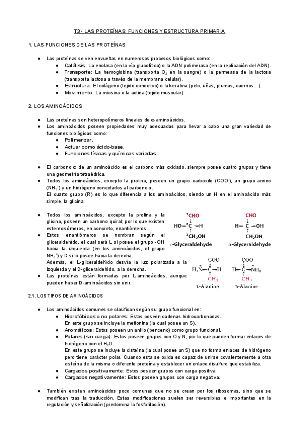 Miniatura del documento T3-BQ-Las-Proteinas.pdf
