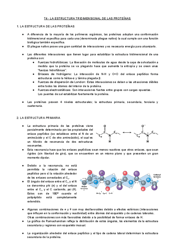 Miniatura del documento T4-BQ-La-Estructura-Tridimensional-de-las-Proteinas.pdf