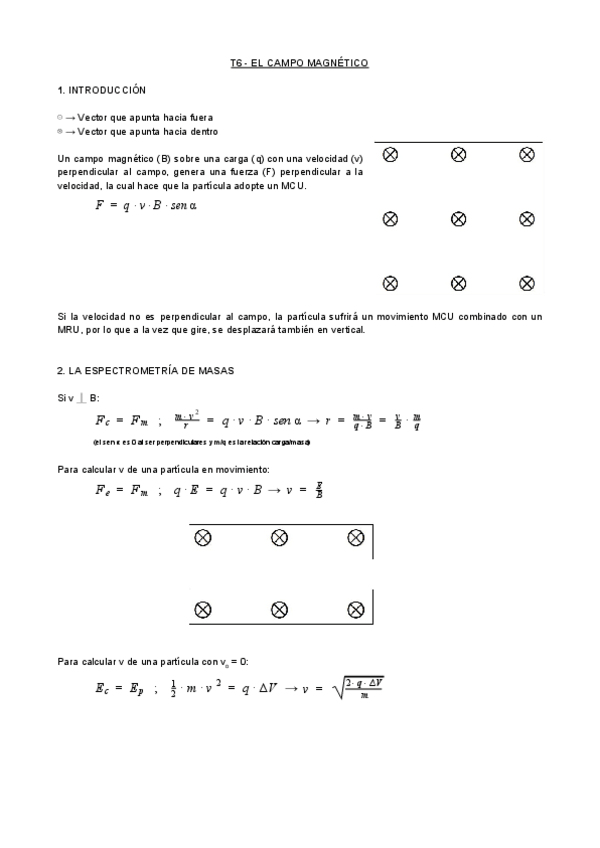 Miniatura del documento T6-FIS-El-Campo-Magnetico.pdf