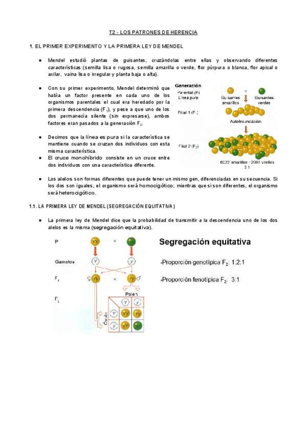 Miniatura del documento T2-GEN-Los-Patrones-de-Herencia.pdf