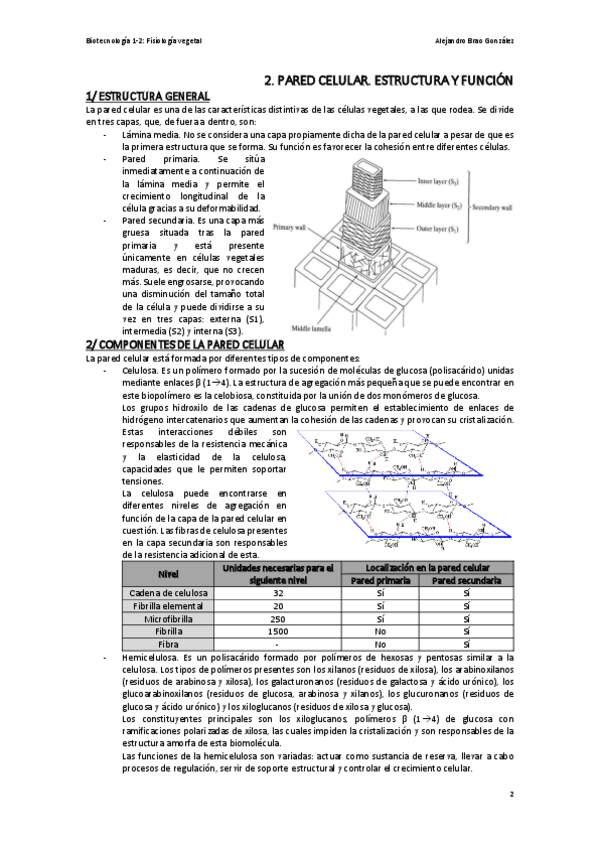 Miniatura del documento T2-FV-La-Pared-Celular.pdf