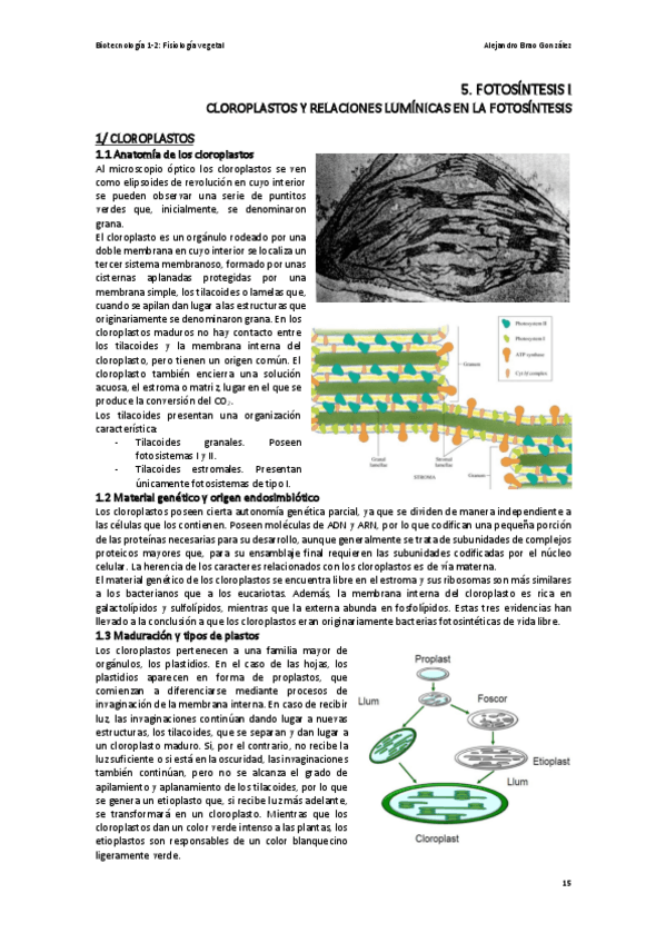 Miniatura del documento T5-FV-La-Fotosintesis-I.pdf