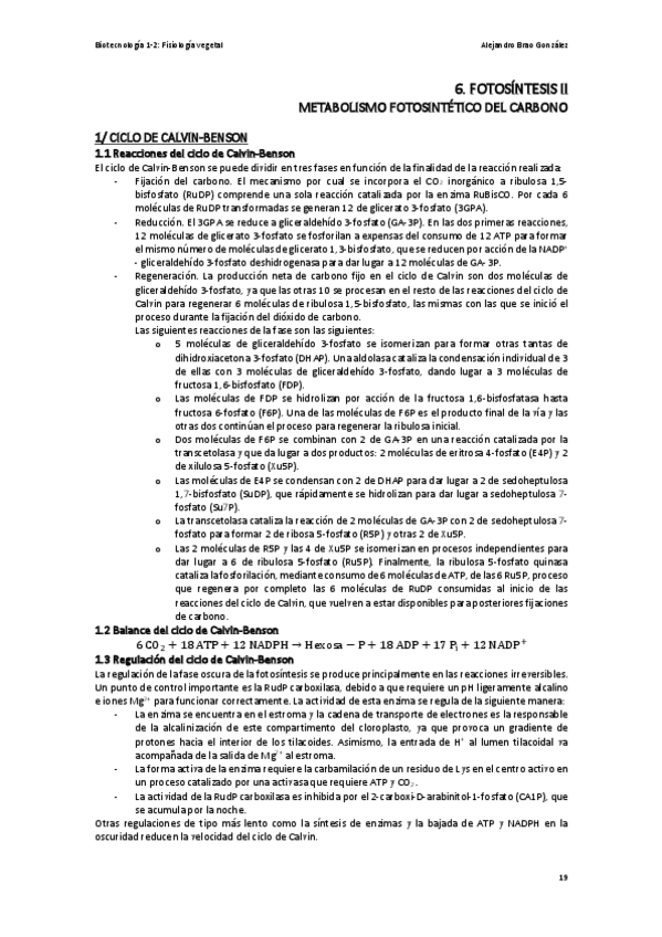Miniatura del documento T6-FV-La-Fotosintesis-II.pdf