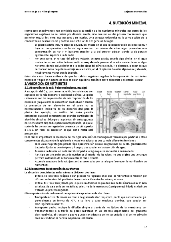 Miniatura del documento T4-FV-La-Nutricion-Mineral.pdf