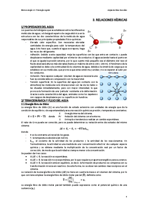 Miniatura del documento T3-FV-Las-Relaciones-Hidricas.pdf