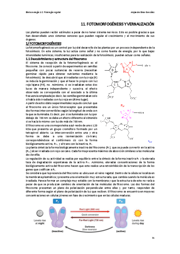 Miniatura del documento T11-FV-La-Fotomorfogenesis-y-la-Vernalizacion.pdf