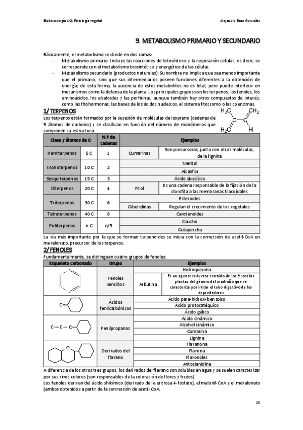 Miniatura del documento T9-FV-El-Metabolismo-Primario-y-Secundario.pdf