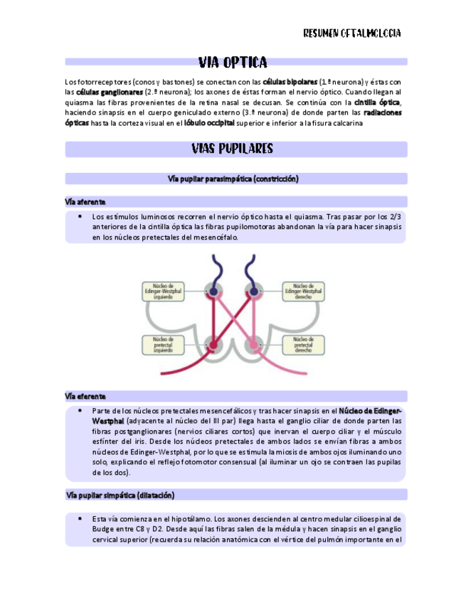 Miniatura del documento VIA-OPTICA.pdf