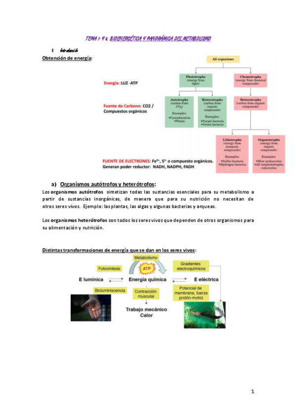 Miniatura del documento TEMA-7-Y-8.pdf