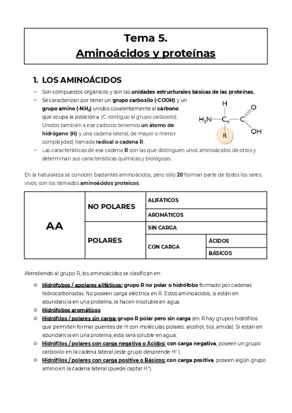 Miniatura del documento U5-Aminoacidos-y-proteinas-5.pdf