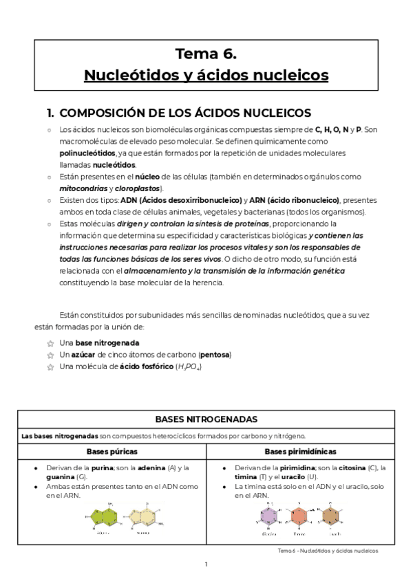 Miniatura del documento U6-Nucleotidos-y-acidos-nucleicos-2.pdf