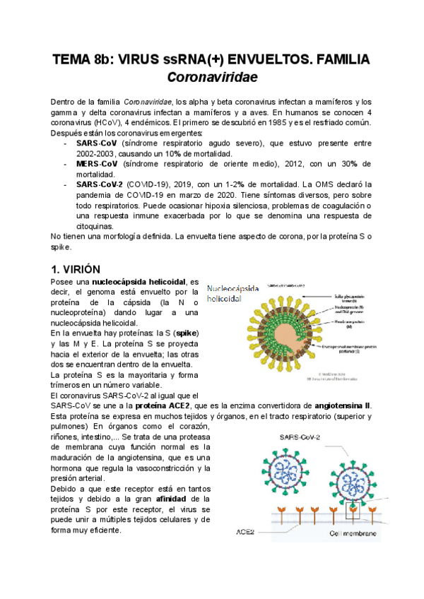 Miniatura del documento tema-8b-virologia.pdf