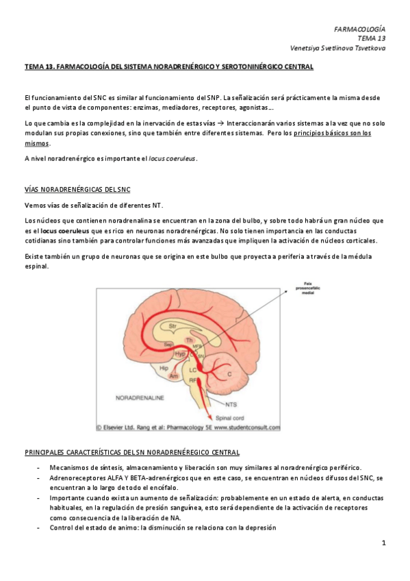 Miniatura del documento TEMA-13.pdf