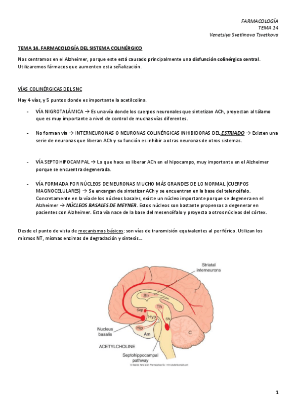 Miniatura del documento TEMA-14.pdf