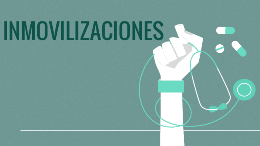 Miniatura del documento inmovilizaciones.pdf