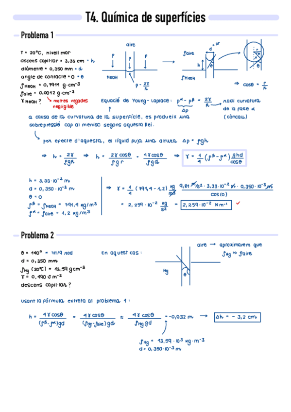 Miniatura del documento P4-Quimica-de-superficies.pdf