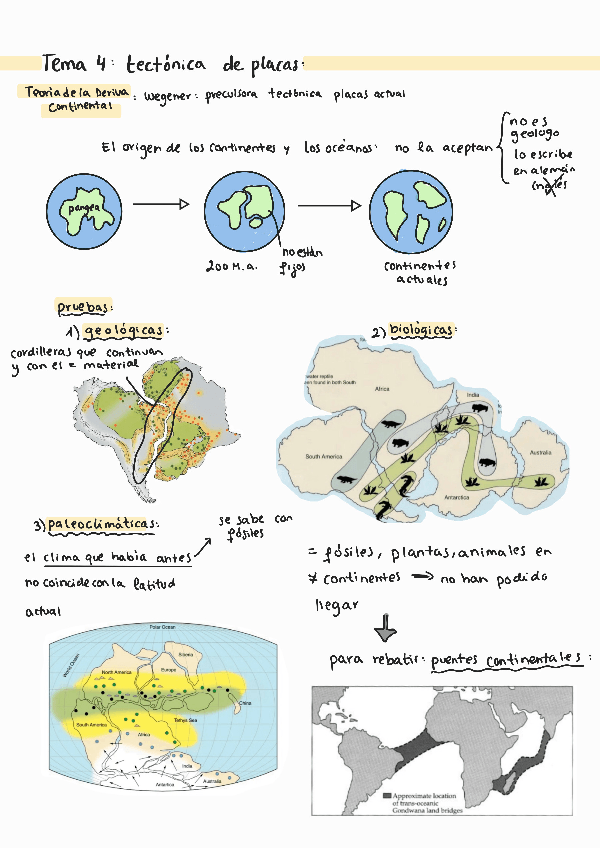 Miniatura del documento TEMA 4 GEOLOGIA