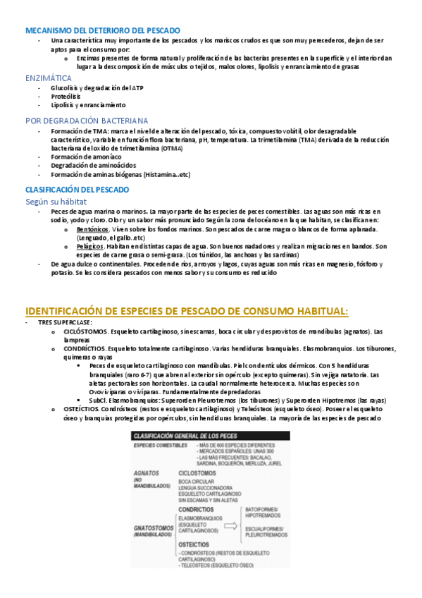 Miniatura del documento T22-y-23-BROMATOLOGIA-DESCRIPTIVA-PESCADO.pdf