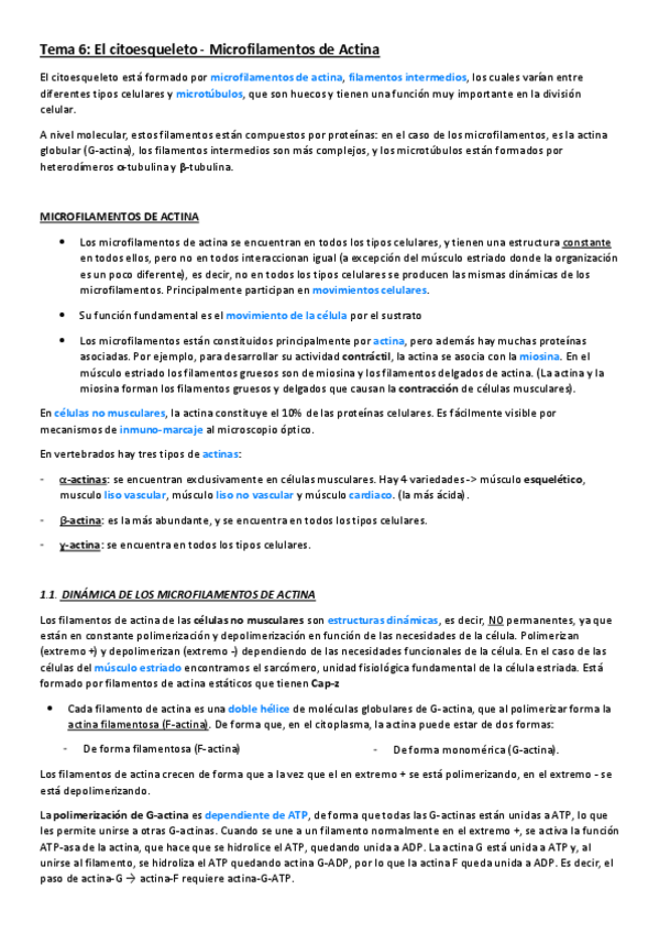 Miniatura del documento Tema-6.pdf