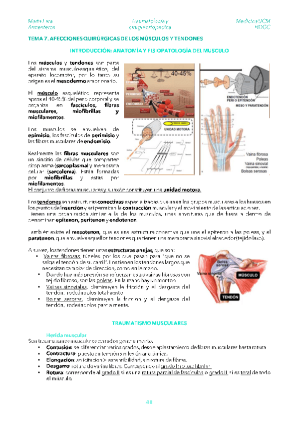Miniatura del documento TRAU-TEMA-7.pdf