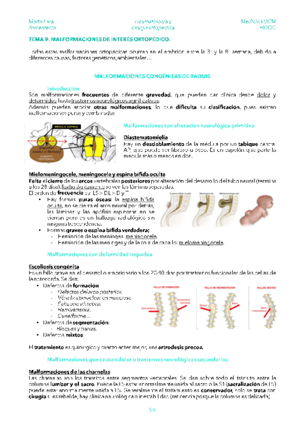 Miniatura del documento TRAU-TEMA-9.pdf