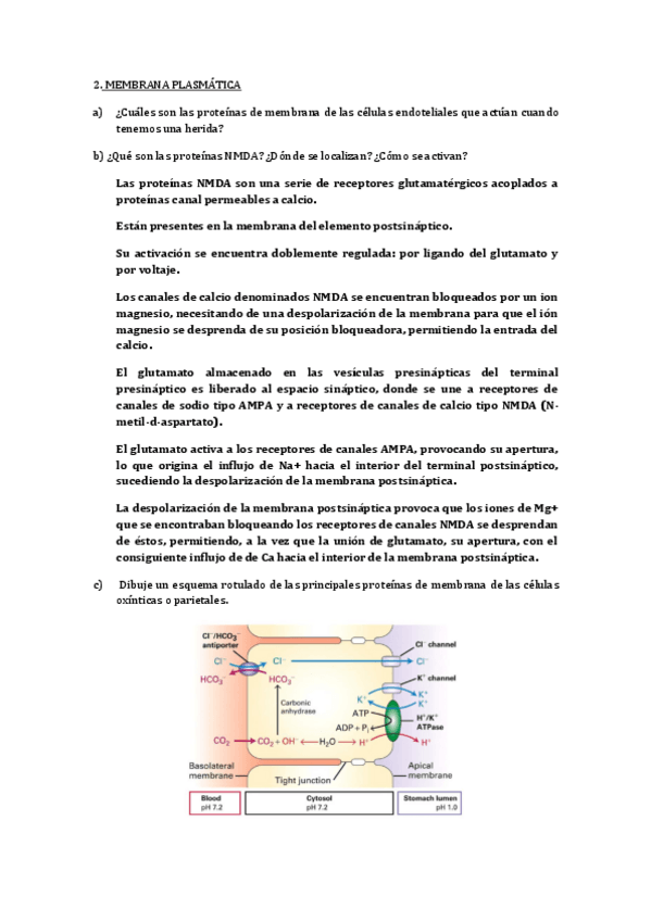 Miniatura del documento Preguntas biología.pdf