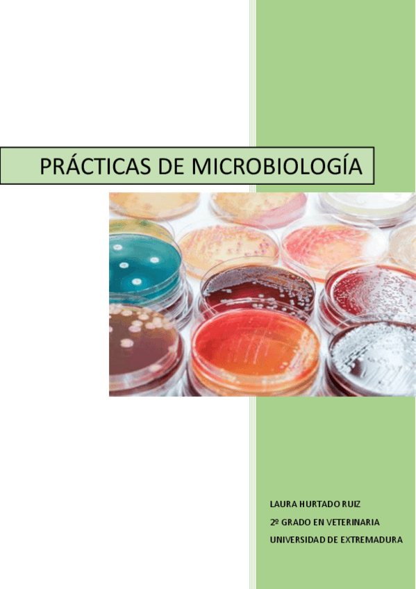 Miniatura del documento PACTICAS-DE-MICROBIOLOGIA.pdf