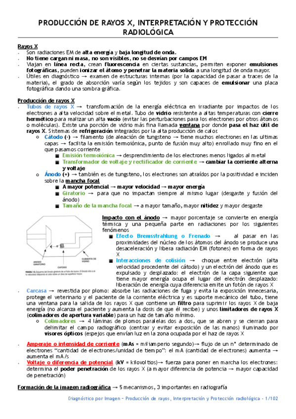 Miniatura del documento resumen-diagno-2.pdf