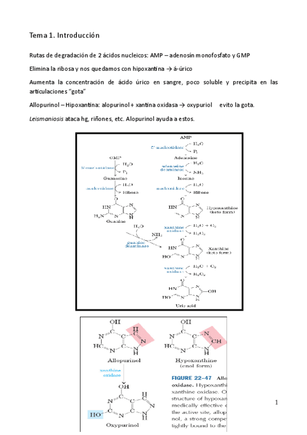 Miniatura del documento tema-1.pdf